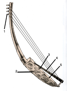 Schéma harpe