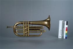 Saxhorn contralto | Arban et Bouvet