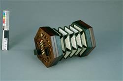 Concertina | Charles Wheatstone