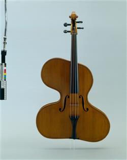Violon irrégulier "violino harpa forma magna" | Thomas Zach