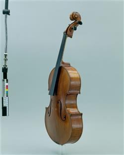 Violon ténor "violetta" | Alfred Stelzner