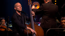 An evening with Avishai Cohen, Avishai Cohen symphonique | Avishai Cohen